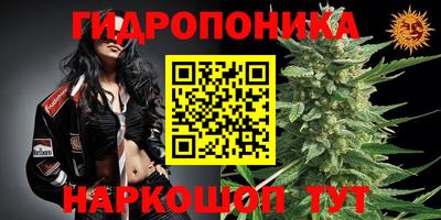 прущая мука Лесосибирск